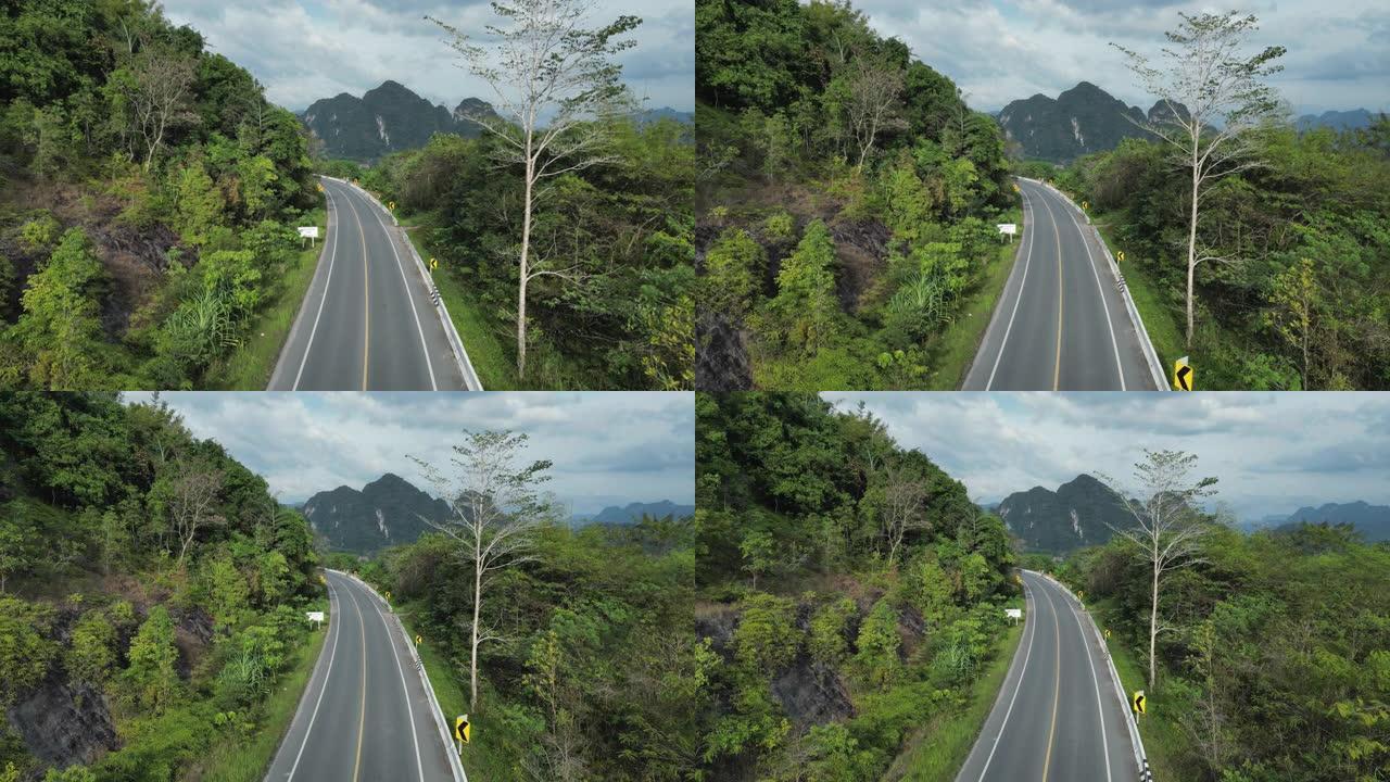 通过棕榈油树种植园的道路鸟瞰图