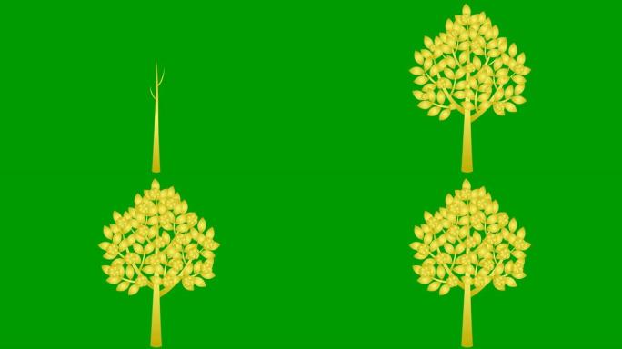金树逐渐生长，叶子出现在树枝上。鲜花盛开。黑色符号。春天的概念。孤立在绿色背景上的平面矢量插图。