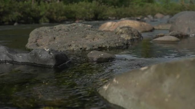 清澈的河流和岩石