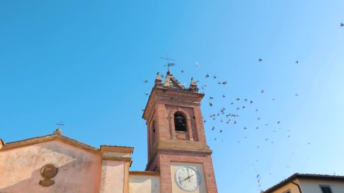 鸽子飞越意大利的教堂塔楼
