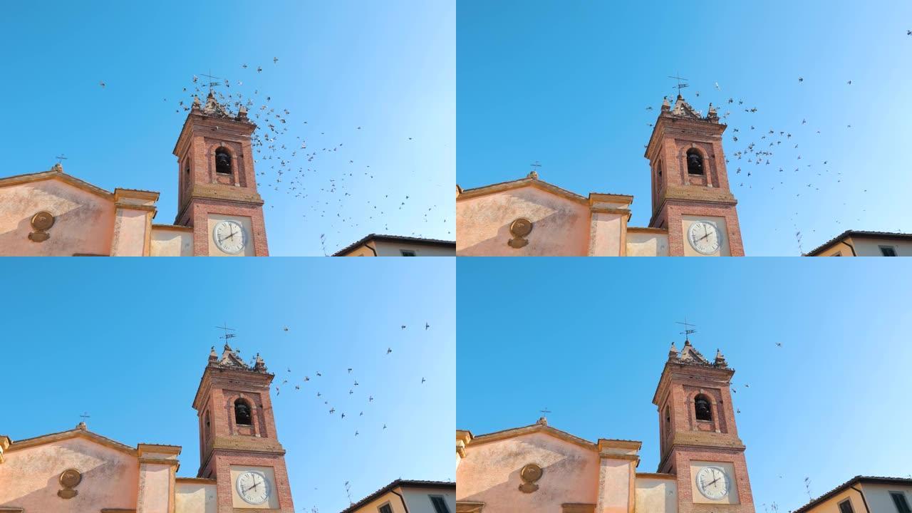 鸽子飞越意大利的教堂塔楼