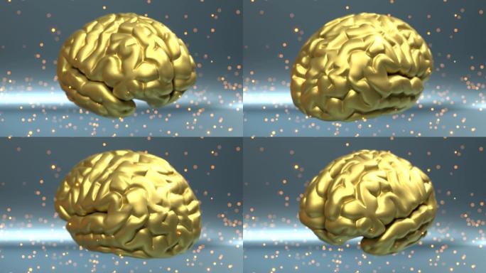 金色大脑转向。正面图像动画。