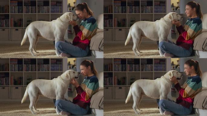 美丽年轻女子的肖像在家里拥抱她可爱的拉布拉多猎犬。女孩和她的狗玩耍，最好的朋友。她宠物抓挠超级快乐的