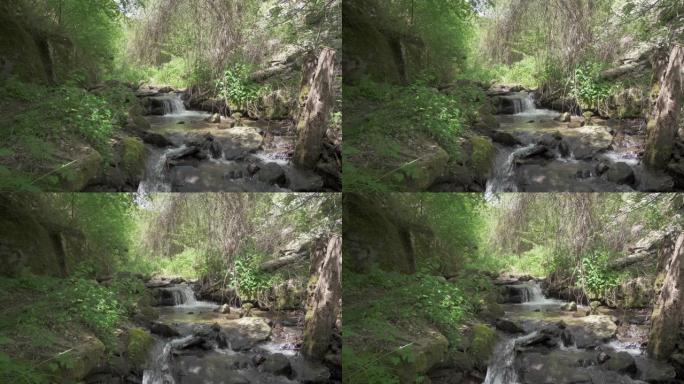 美丽的风景，在深绿色的森林中的一条河溪上，瀑布源源不断