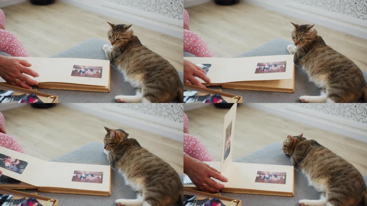女人翻阅专辑的页面，猫躺在沙发上。