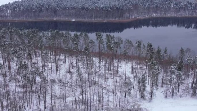 鸟瞰树梢覆盖在森林冬日的湖面积雪平静。宁静的自然，新鲜的空气，干净的蓝色水。在美丽安静的冬季湖上飞越