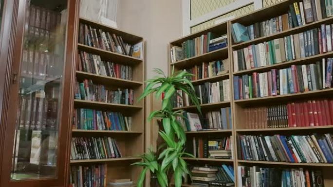 4k视频，许多木制书架上摆满了不同的书籍，国际图书日的概念和科学教育，图书馆的内部