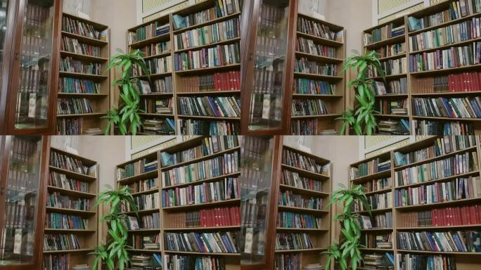 4k视频，许多木制书架上摆满了不同的书籍，国际图书日的概念和科学教育，图书馆的内部