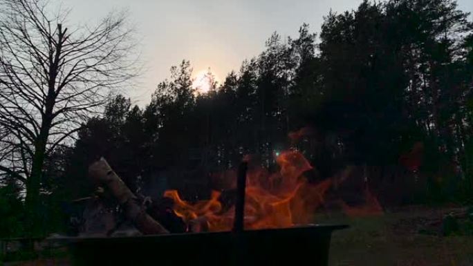 日落时的壁炉柴火篝火森林
