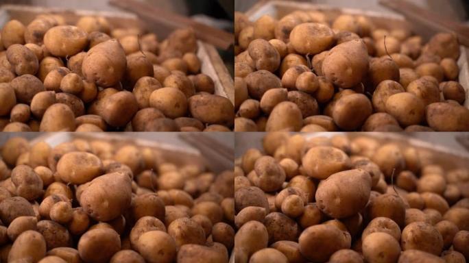 白土豆仓库。摄像机在一堆土豆特写镜头周围的平滑移动
