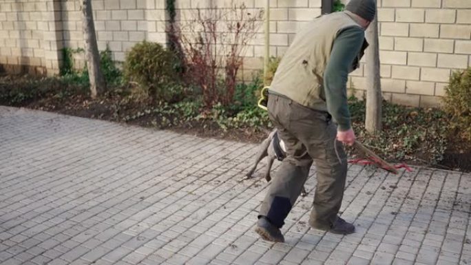 犬科学家的狗在训练中奔跑并咬伤了罪犯的手