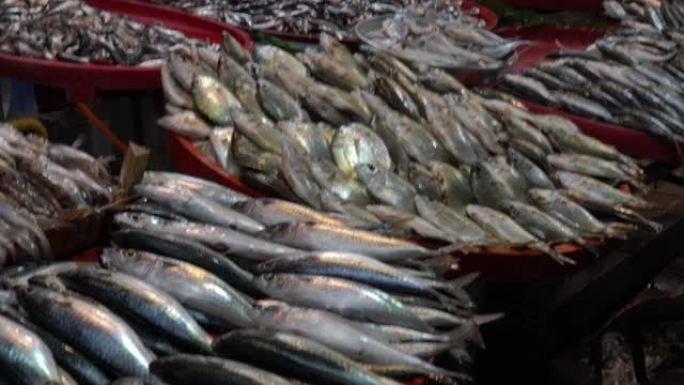 地中海鱼类准备出售销售人们正在出售鱼类4k小型企业镜头