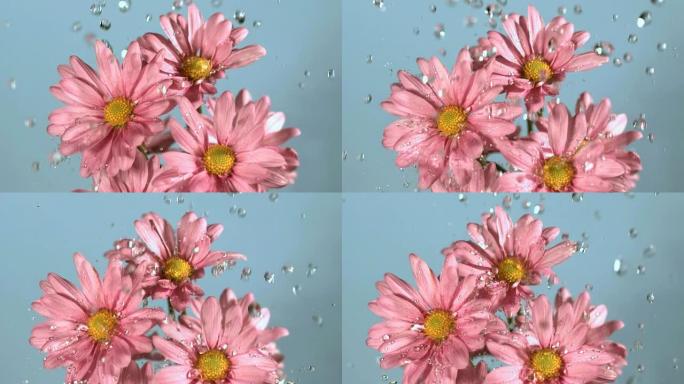 水滴以慢动作落在花朵上