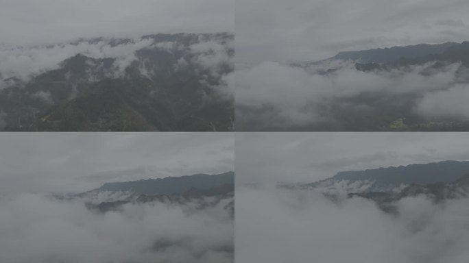 雾里看大山