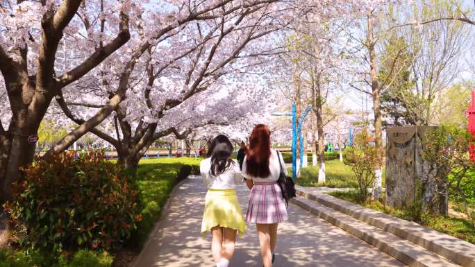 樱花树下散步的两个女生