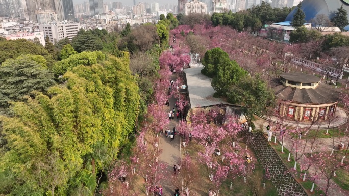 昆明五华区动物园航拍4k