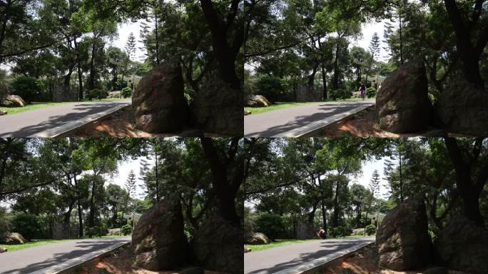 广东省广州白云山景点白云松涛粤韵羊城八景