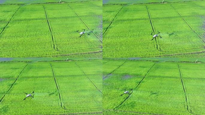 农业无人机在绿地上喷洒
