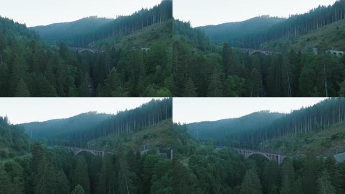 空中无人机拍摄了森林中的火车栈桥