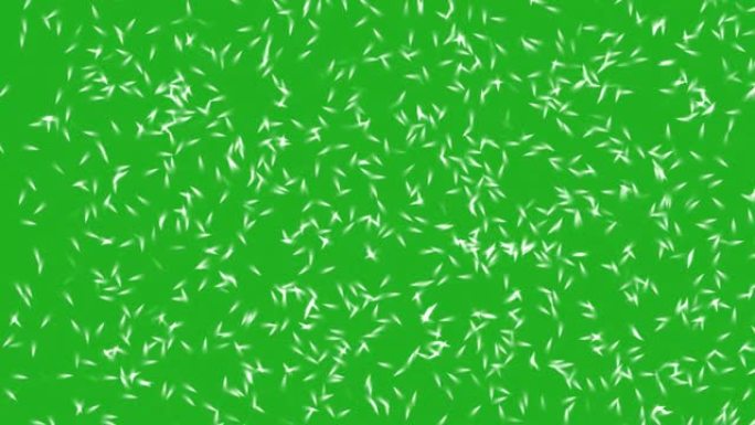 水虫运动绿屏运动图形
