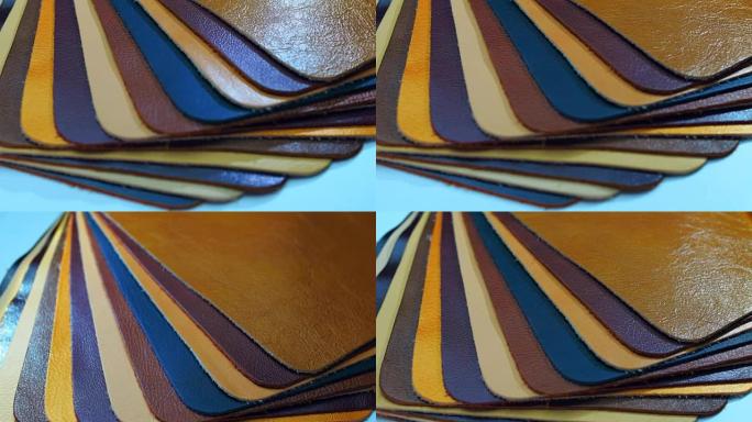 不同颜色的皮肤样本。光线在样本周围移动。臂臂