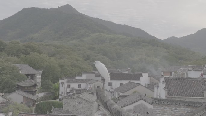 皖南山村徽派航拍