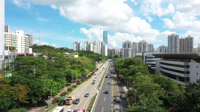 深圳福田城区道路1