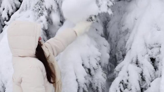 一个年轻的女孩从森林中的云杉树枝上甩掉了雪。