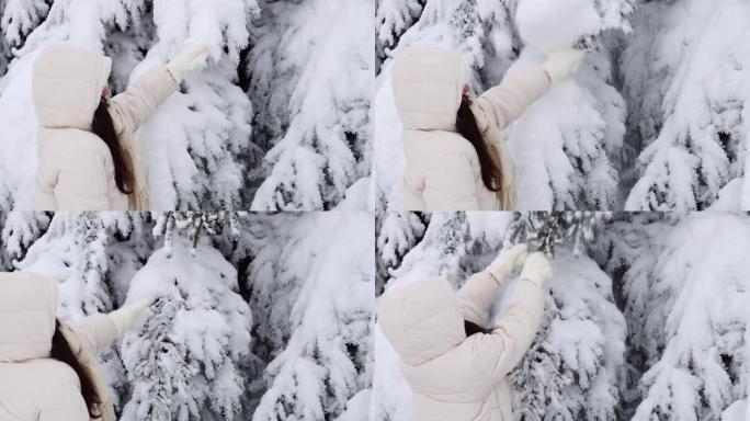 一个年轻的女孩从森林中的云杉树枝上甩掉了雪。