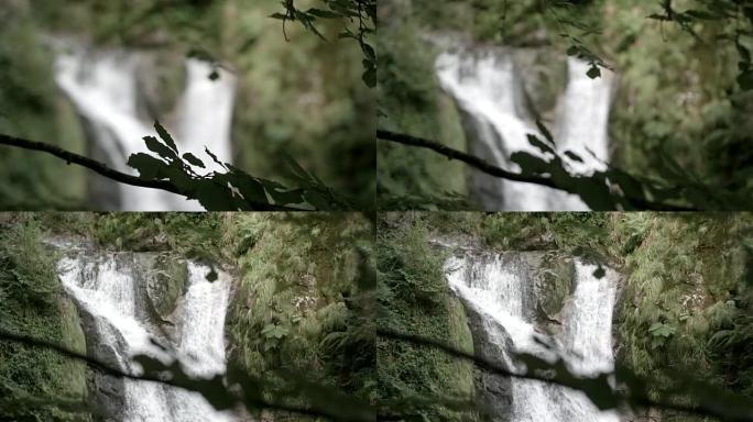 森林中岩石上的清晰瀑布瀑布