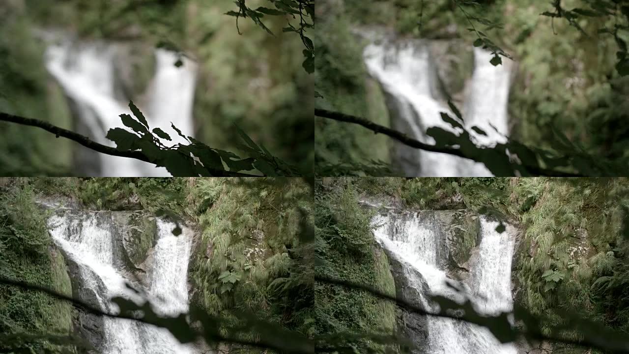 森林中岩石上的清晰瀑布瀑布