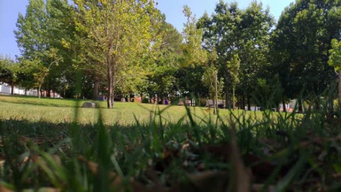 人们在风景优美的公园的树下享受空闲时间，风在阳光明媚的夏日午后移动其闪烁的叶子，全景遮挡镜头。西班牙