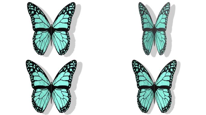 3D插图-视频。彩色蝴蝶张开翅膀