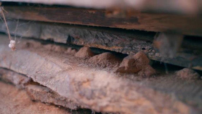 受害虫影响的木板特写。仓库中无保护的木质建筑材料