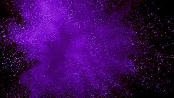 紫色粉末在超级慢动作中在黑色背景上爆炸