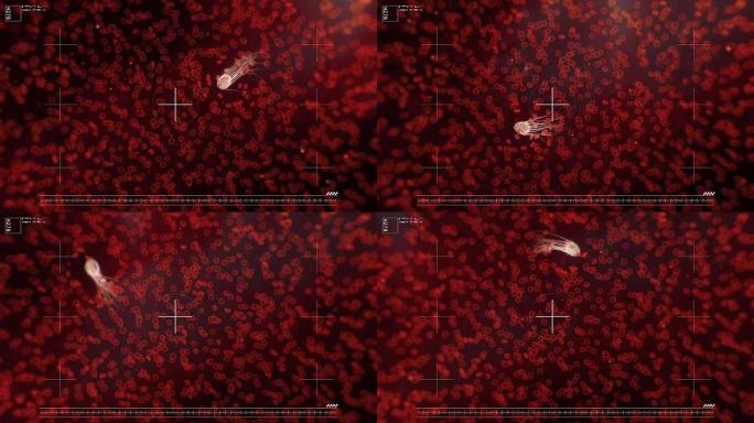 病毒在显微镜下破坏红细胞，实验室血液检测，治疗