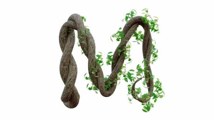 树木生长或藤蔓的形状为英文文本。字母字体M。