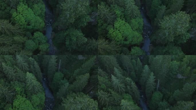 空中无人机拍摄森林中的河流