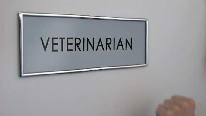 兽医室门，手敲特写，宠物保健，动物伤害