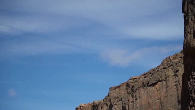 秃鹰在南美阿根廷巴塔哥尼亚丘布特地区的piedra parada峡谷上空高高耸起。