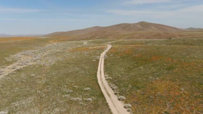 罂粟羚羊谷空中射击飞越美国加利福尼亚州蜿蜒道路