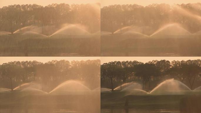 高压洒水器在高尔夫球场的草地上喷水，旋转成圆圈以均匀地撒水。洒水装置在高尔夫球场对着黄色的傍晚太阳喷