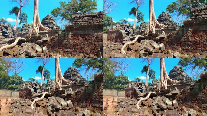 神秘的古代遗迹Preah Khan寺-柬埔寨著名的地标，吴哥窟的寺庙建筑群。柬埔寨暹粒。