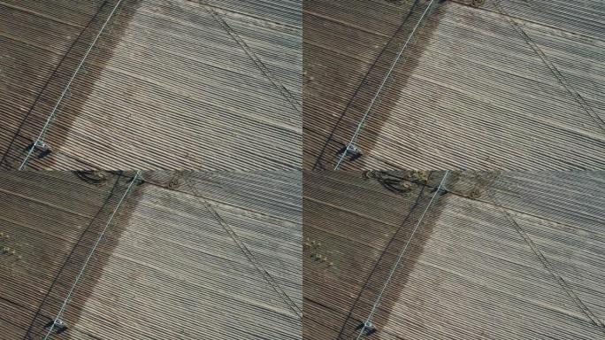 亚利桑那州尤马附近灌溉系统灌溉农田的鸟瞰图