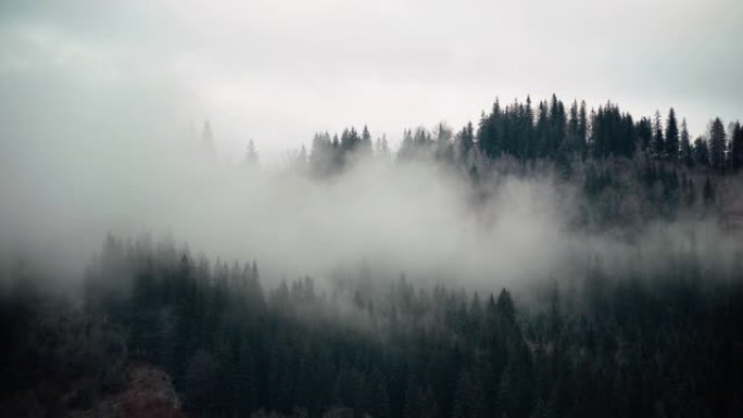 雪，云和雾在下面滚动的山脉的风景