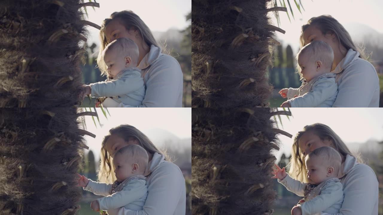 近距离拍摄母亲怀抱中的婴儿伸向并感觉到棕榈树树干的镜头