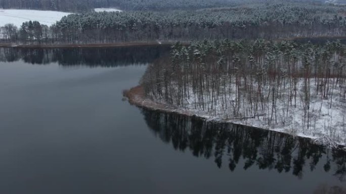 鸟瞰树梢覆盖在森林冬日的湖面积雪平静。宁静的自然，新鲜的空气，干净的蓝色水。在美丽安静的冬季湖上飞越