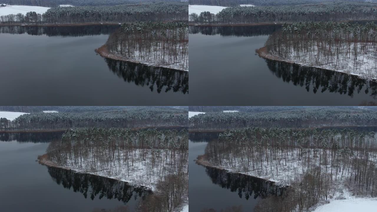 鸟瞰树梢覆盖在森林冬日的湖面积雪平静。宁静的自然，新鲜的空气，干净的蓝色水。在美丽安静的冬季湖上飞越