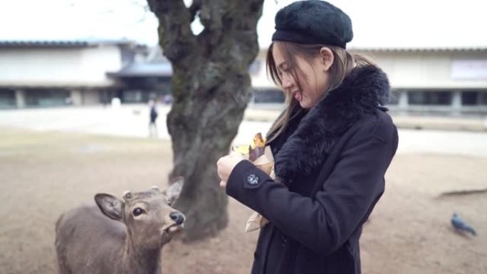 旅游妇女在奈良公园为deers喂食乐趣