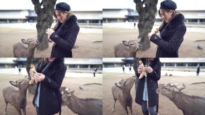 旅游妇女在奈良公园为deers喂食乐趣